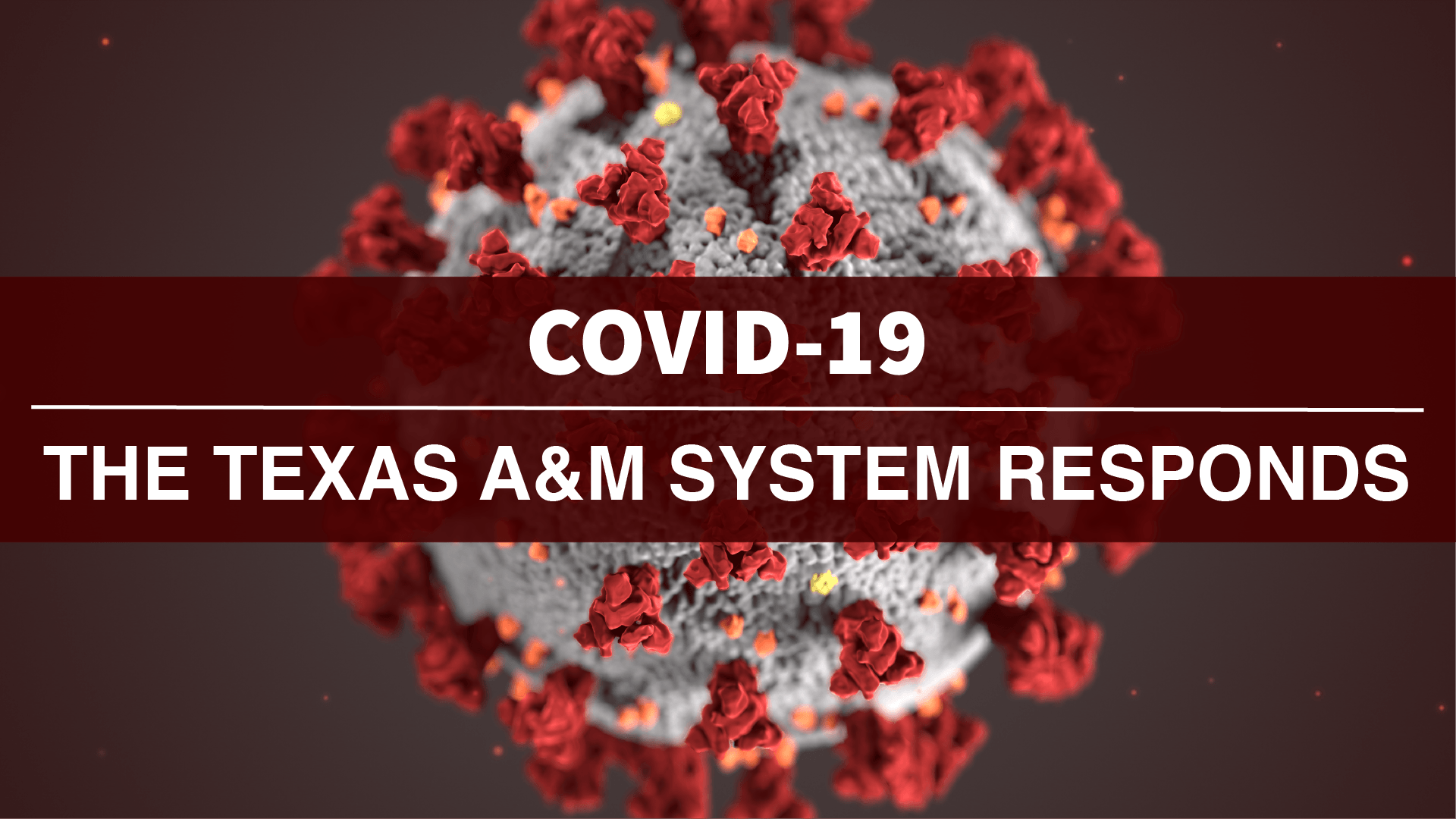 COVID-19: The Texas A&M System Responds