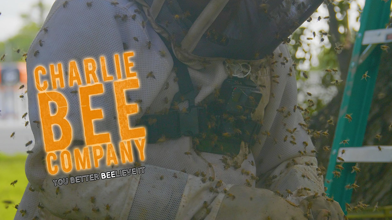 Charlie Bee Company - You Better Beelieve It