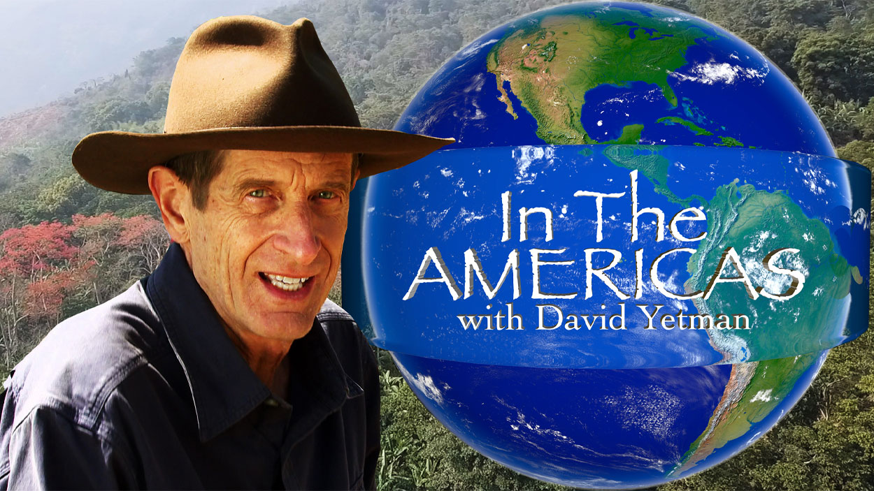 In the Americas with David Yetman