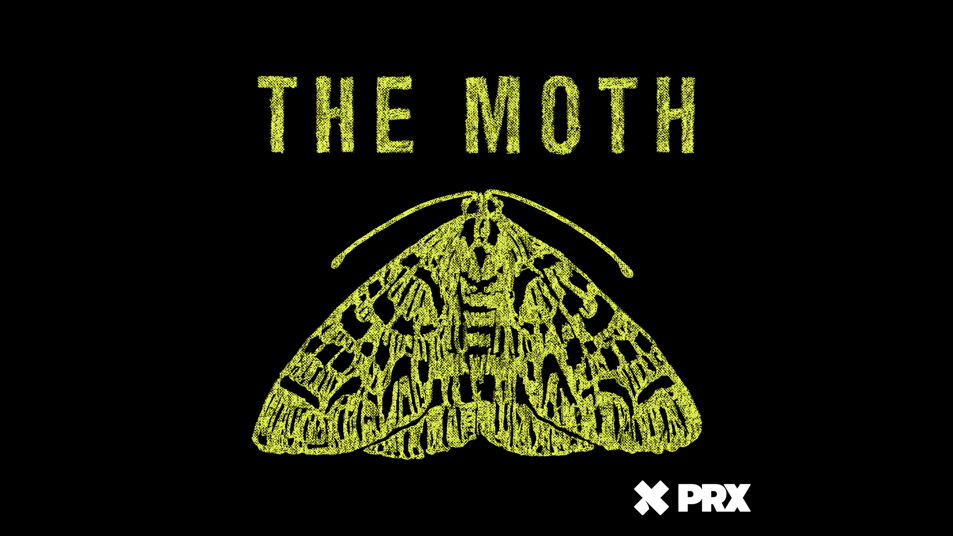 The Moth Radio Hour Program Logo