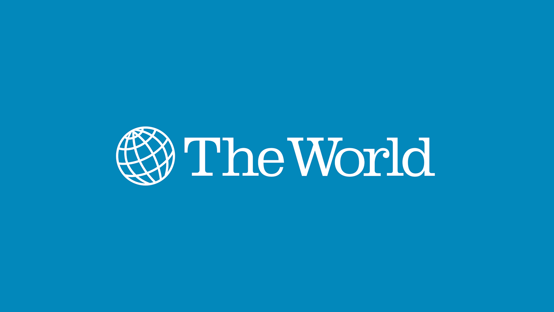 The World Program Logo