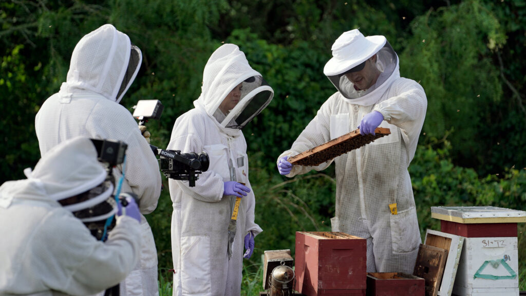 Two beekeepers are filmed while pulling out beehives.