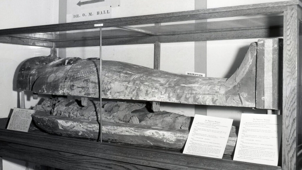 An old black and white picture of a mummy at Texas A&M