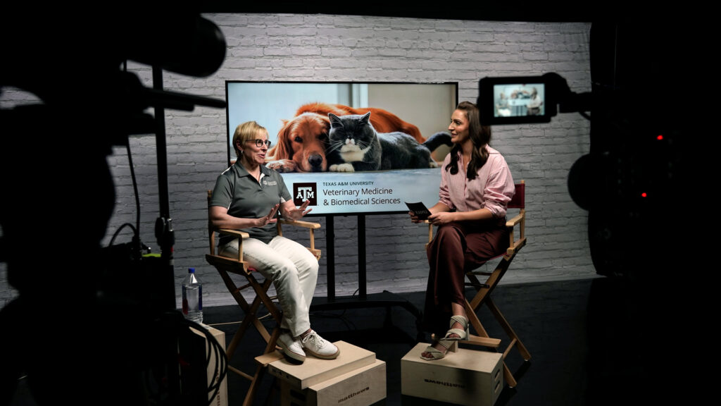 Chelsea Reber talks to veterinarian Dr. Lori Teller.