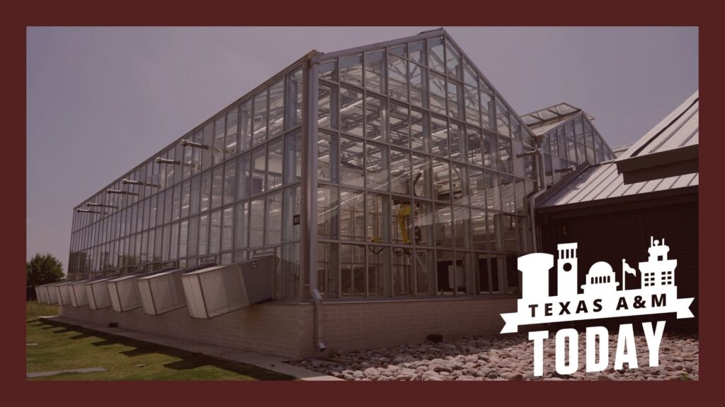 Texas A&M's Automated Greenhouse.