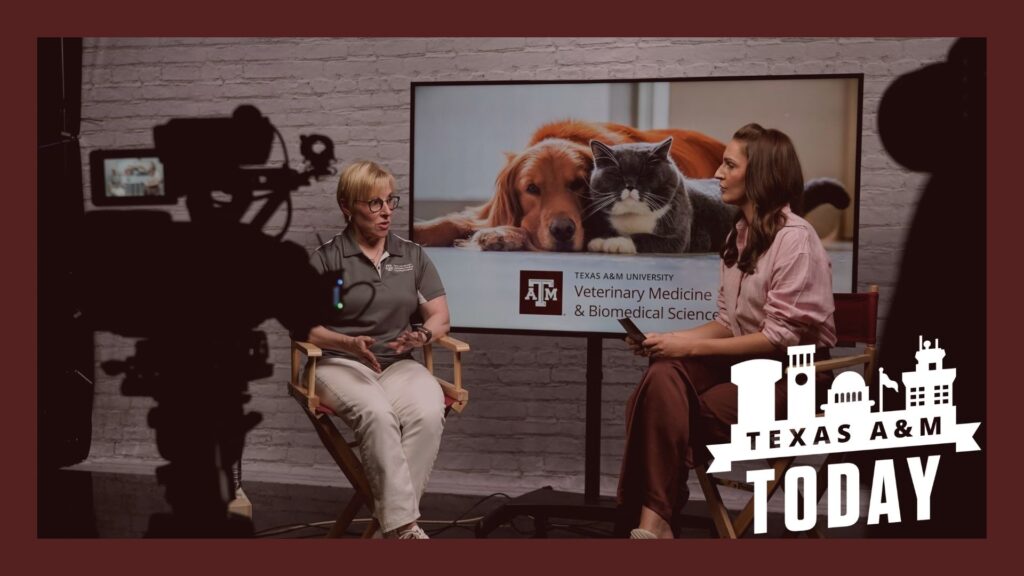 Chelsea Reber and Dr. Lori Teller talk about pet myths.