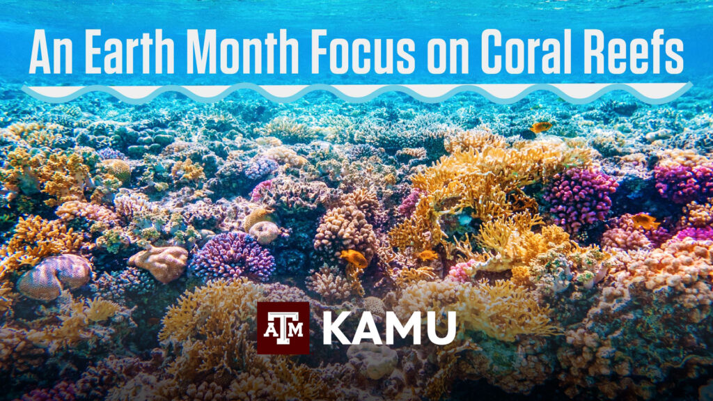 An Earth Month Focus on Coral Reefs