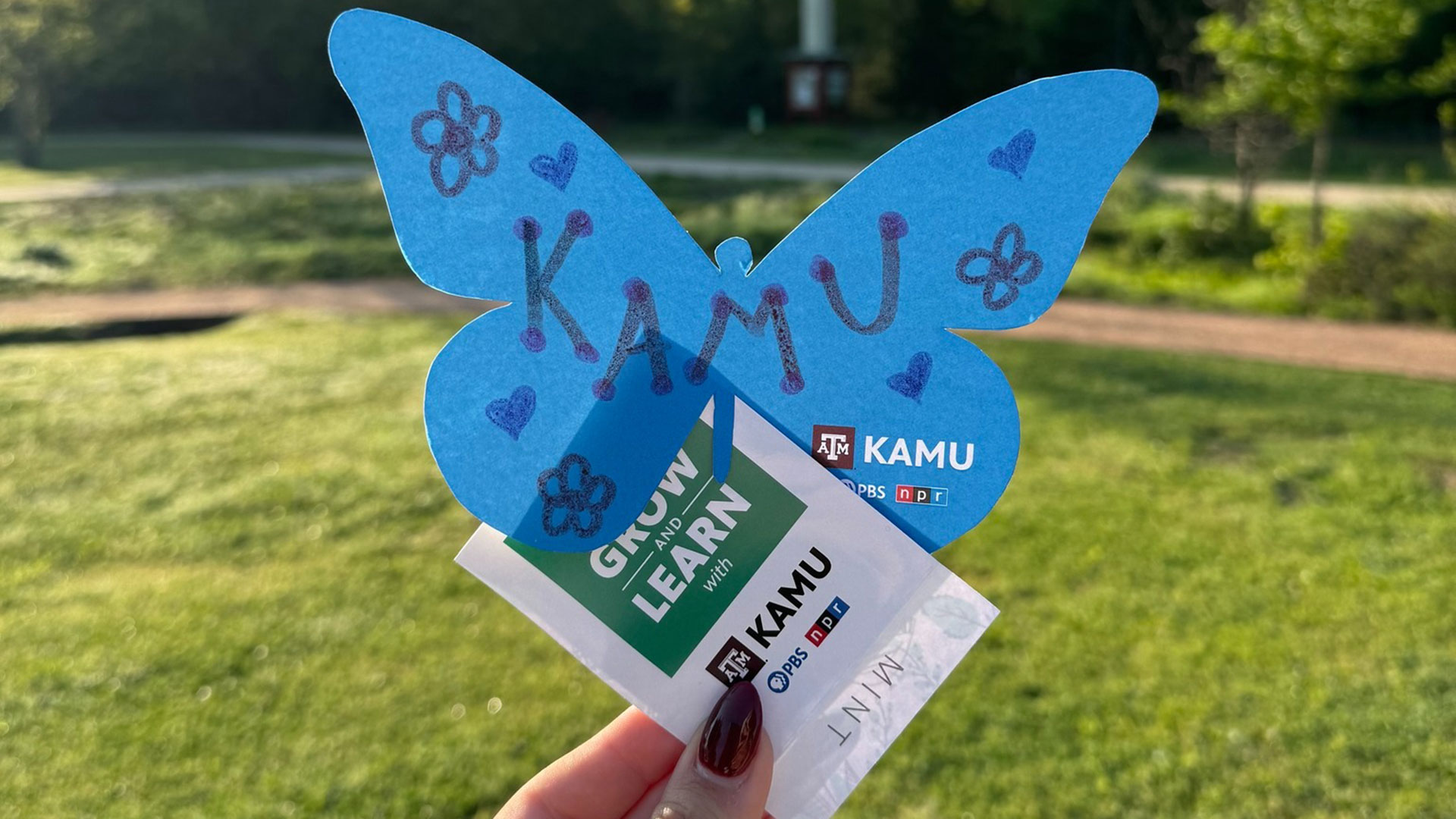 A blue paper butterfly with the KAMU logo and a KAMU seed packet held in front of a patch of green grass