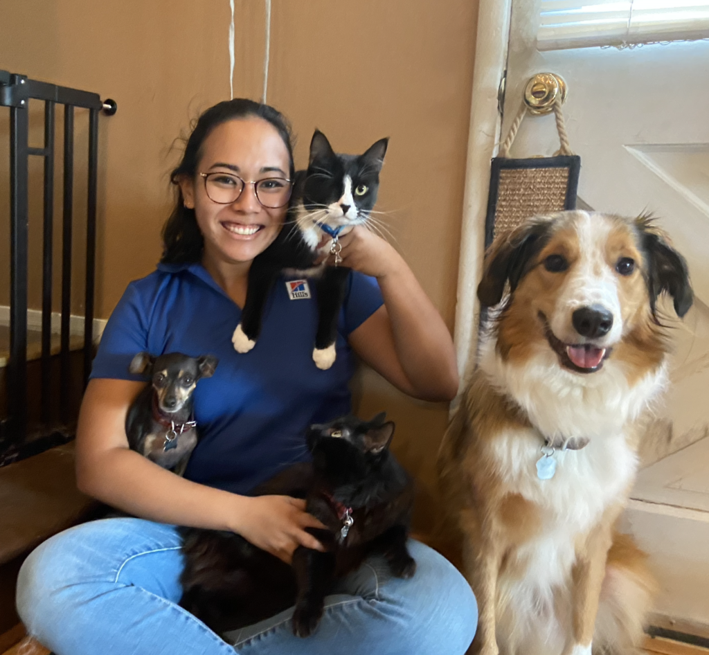 Dr. Beth Onaga with her pets - Malibu, a 13-year-old chihuahua; Davy, a 7-year-old cat; Brew, a 6-year-old English Shepherd; and Firestone Walker, a 5-year-old tripod kitty.