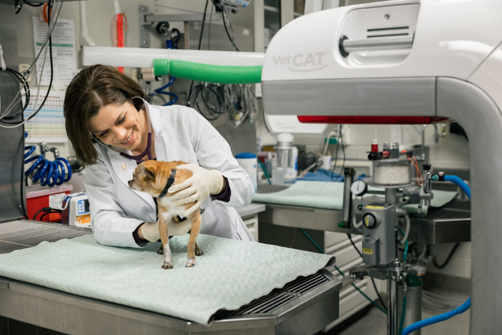 Dr. Adriana Regalado-Ibarra with dog Paco during a dental exam.