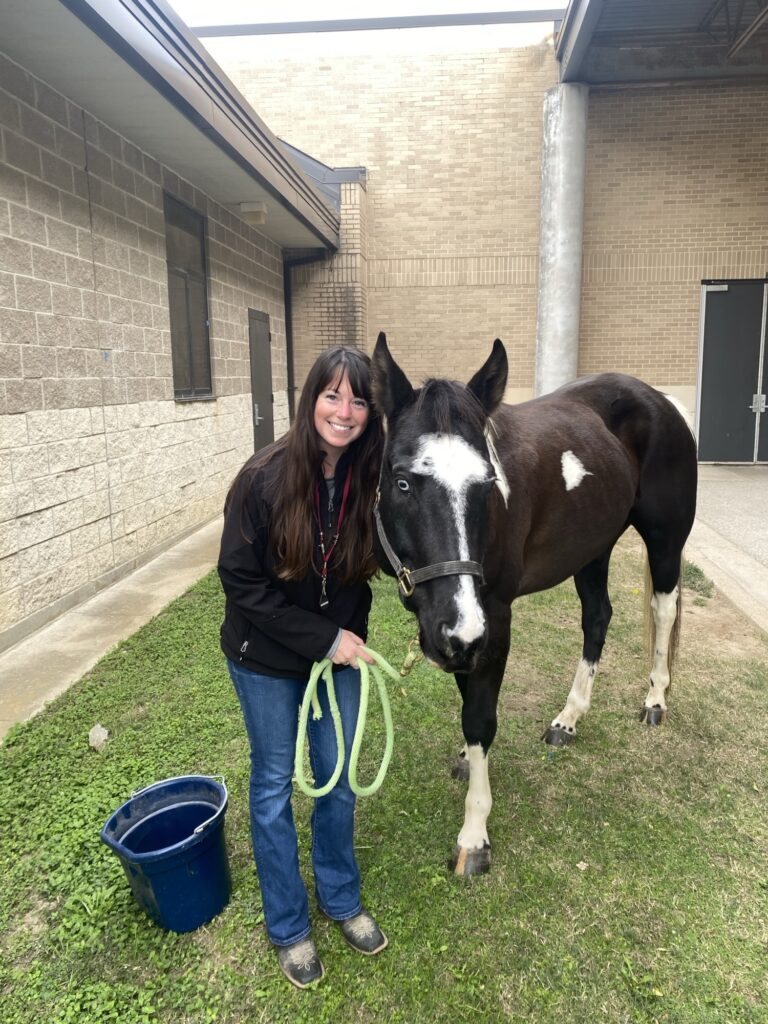 Dr. Eileen Donoghue with her horse Gunner.