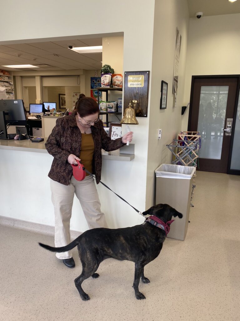 Dr. Tracy Vemulapalli with her dog, Daisy, ringing the "BTHO Cancer" bell after Daisy completed her last round of chemotherapy.