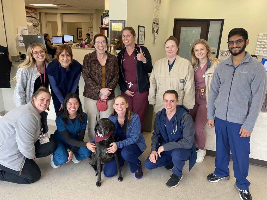 Dr. Tracy Vemulapalli with her dog, Daisy, and vet school staff, after ringing the "BTHO Cancer" bell after Daisy completed her last round of chemotherapy.